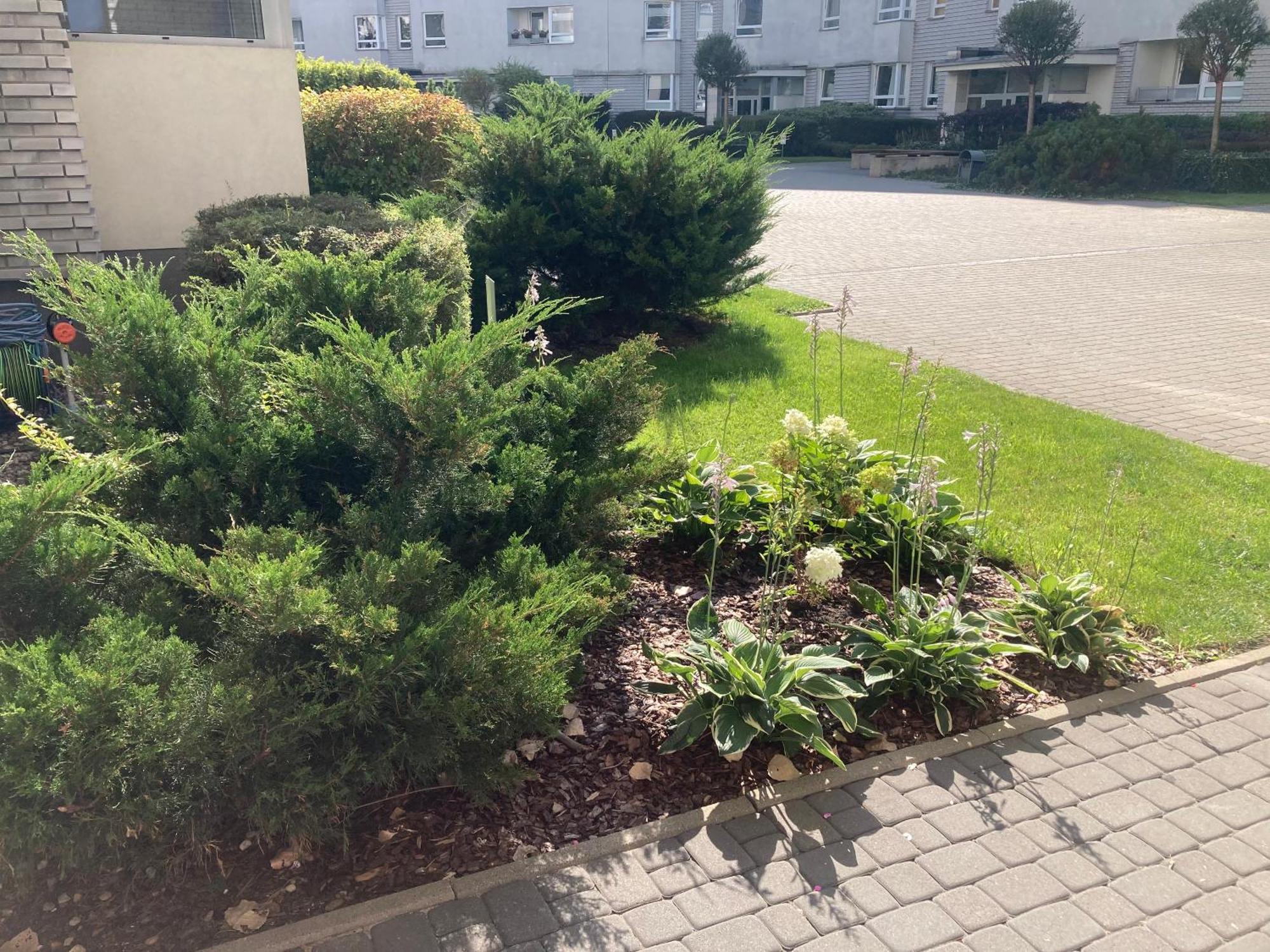 Przestronny Apartament Na Dolnej Varsavia Esterno foto